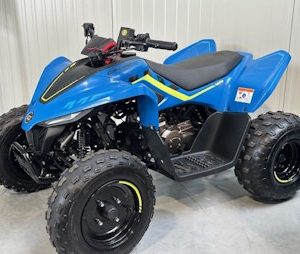 CF MOTO Cforce 110